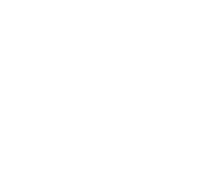 GTA V